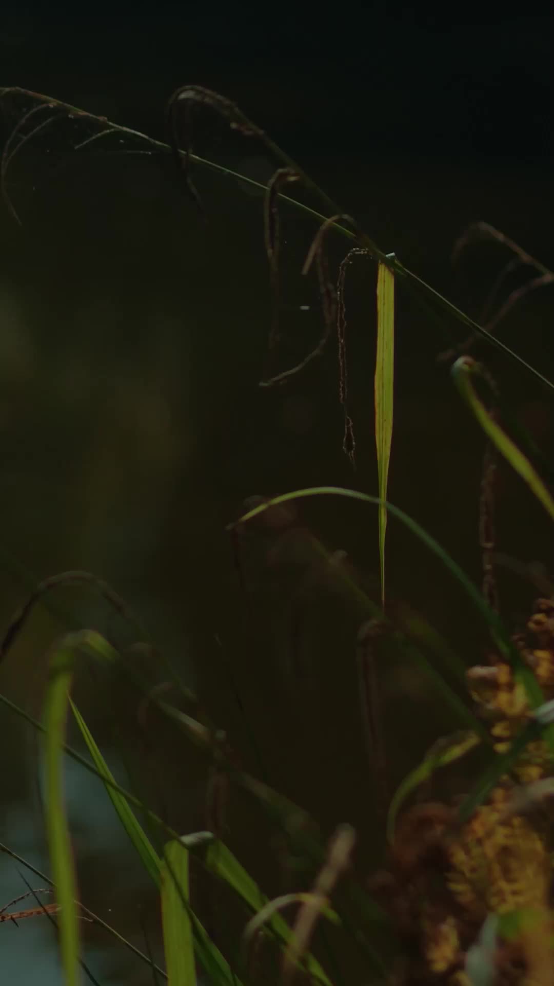 第69集