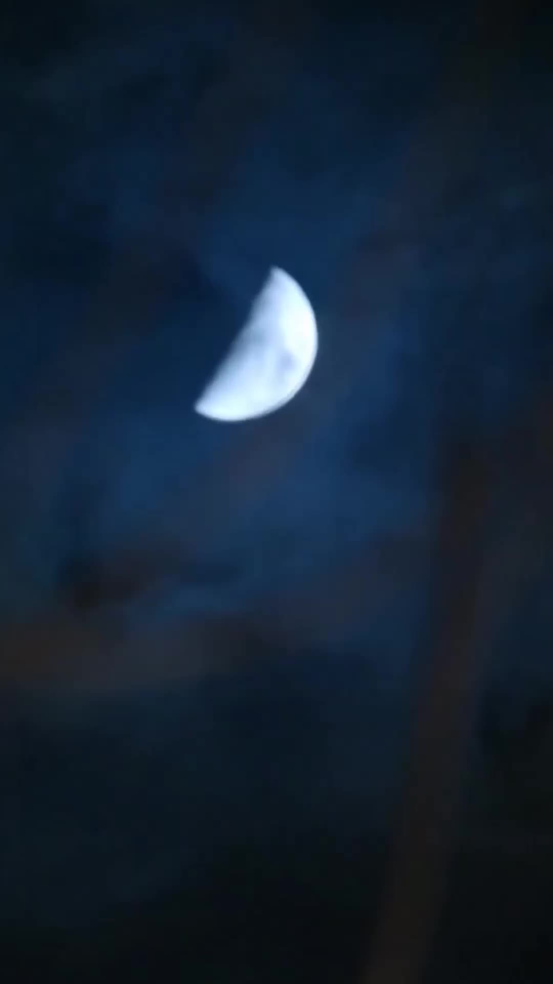 第73集