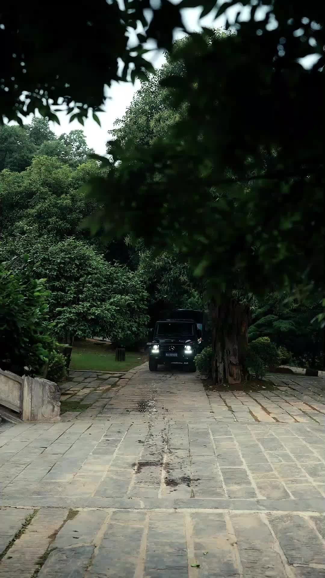 Episode 29