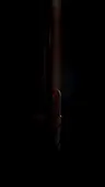 Episode 40