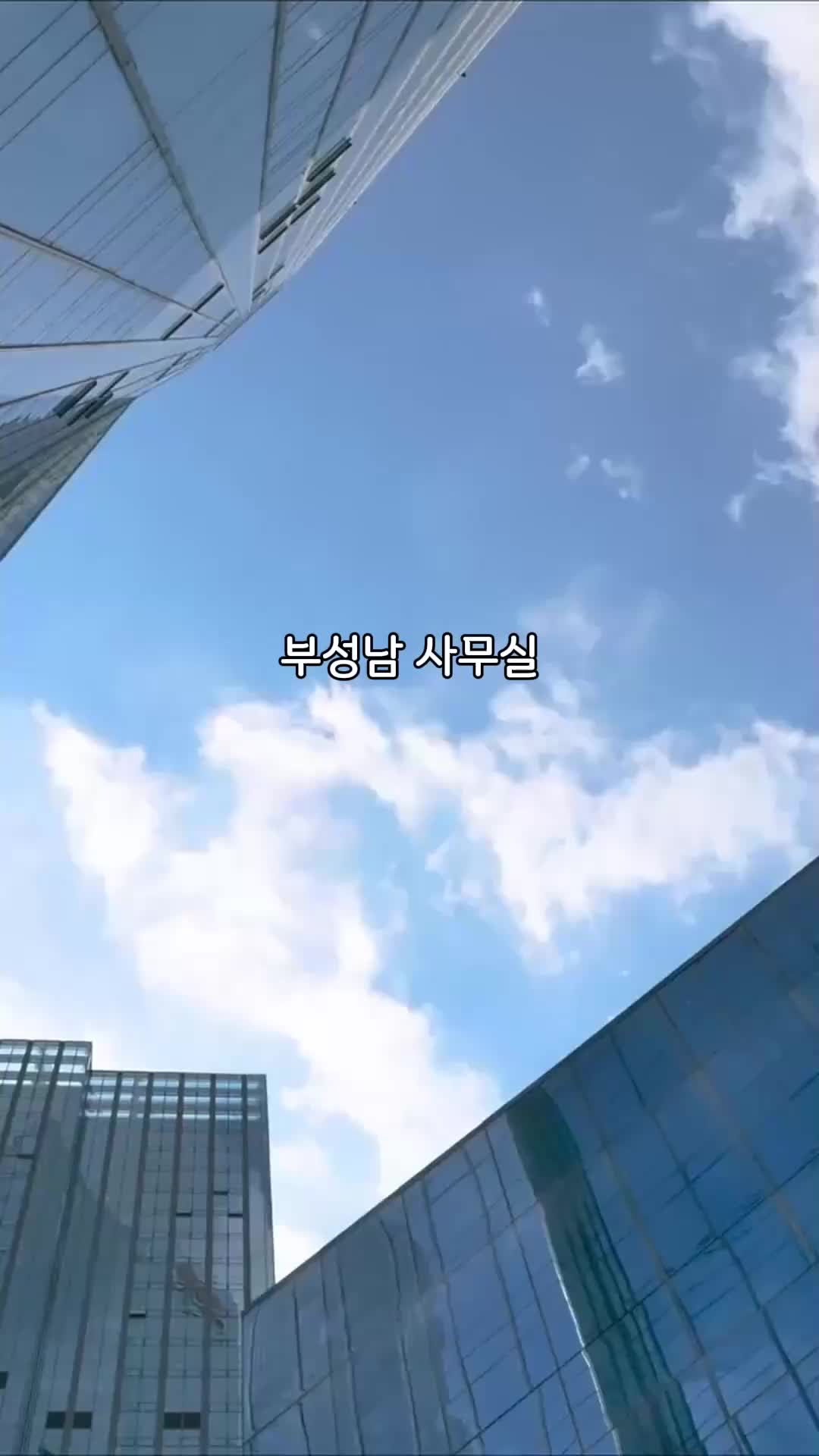 65회