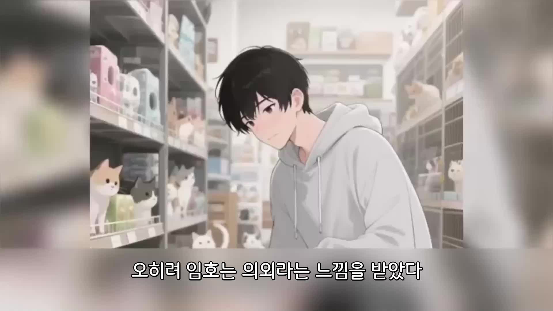 53회