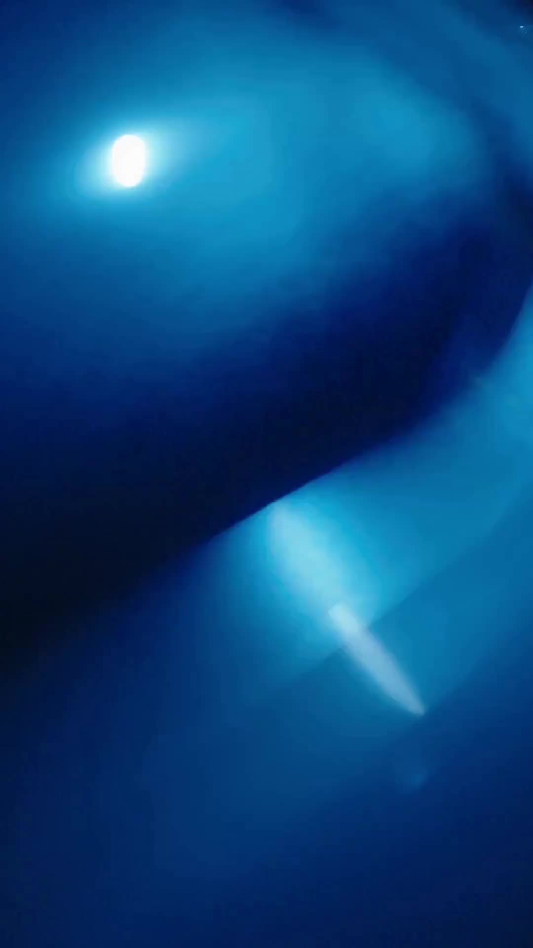 Episode 30