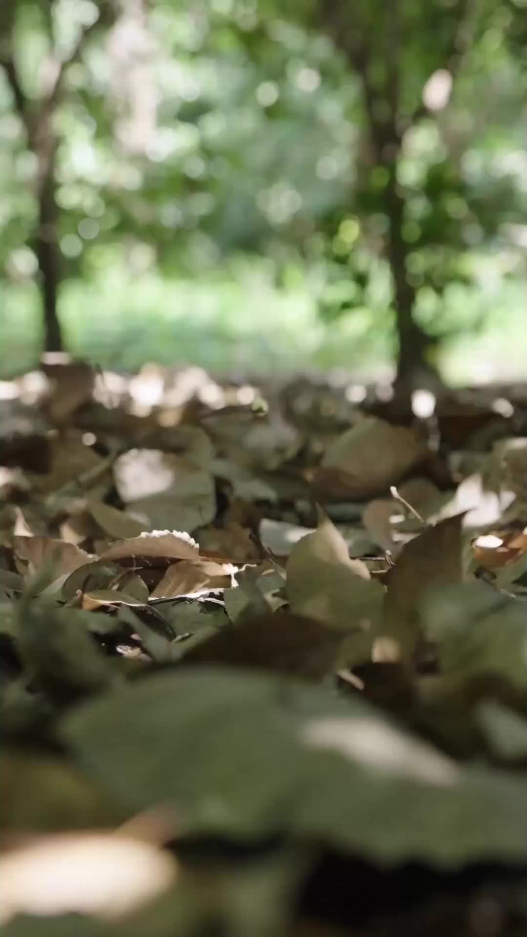 Love at Lightspeed EP.1