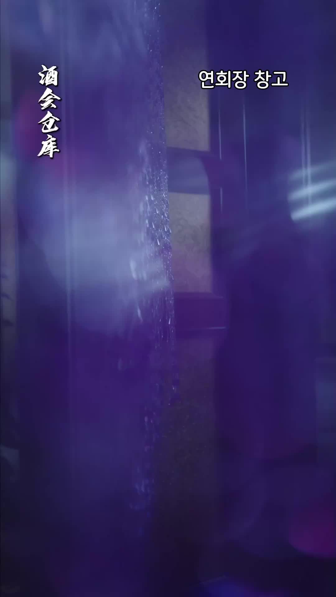51회