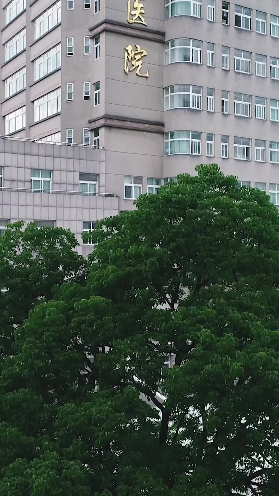 Tập 13