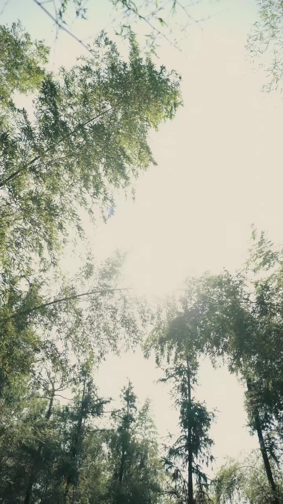 La Princesse aux Mille Bêtes EP.3