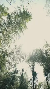 La Princesse aux Mille Bêtes EP.3