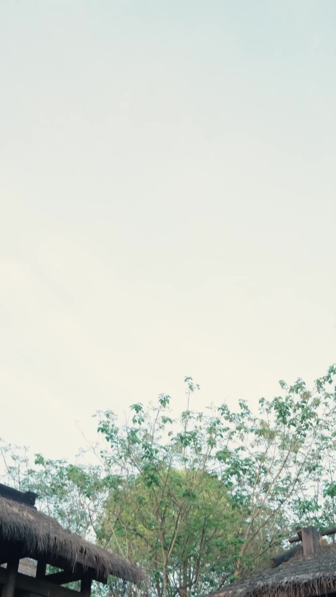 团宠小奶包，我是全皇朝最靓的崽 EP.10