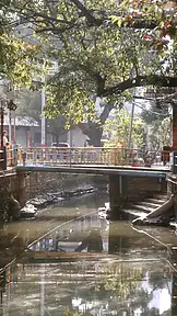 鱼群跟着游向陆地 EP.1