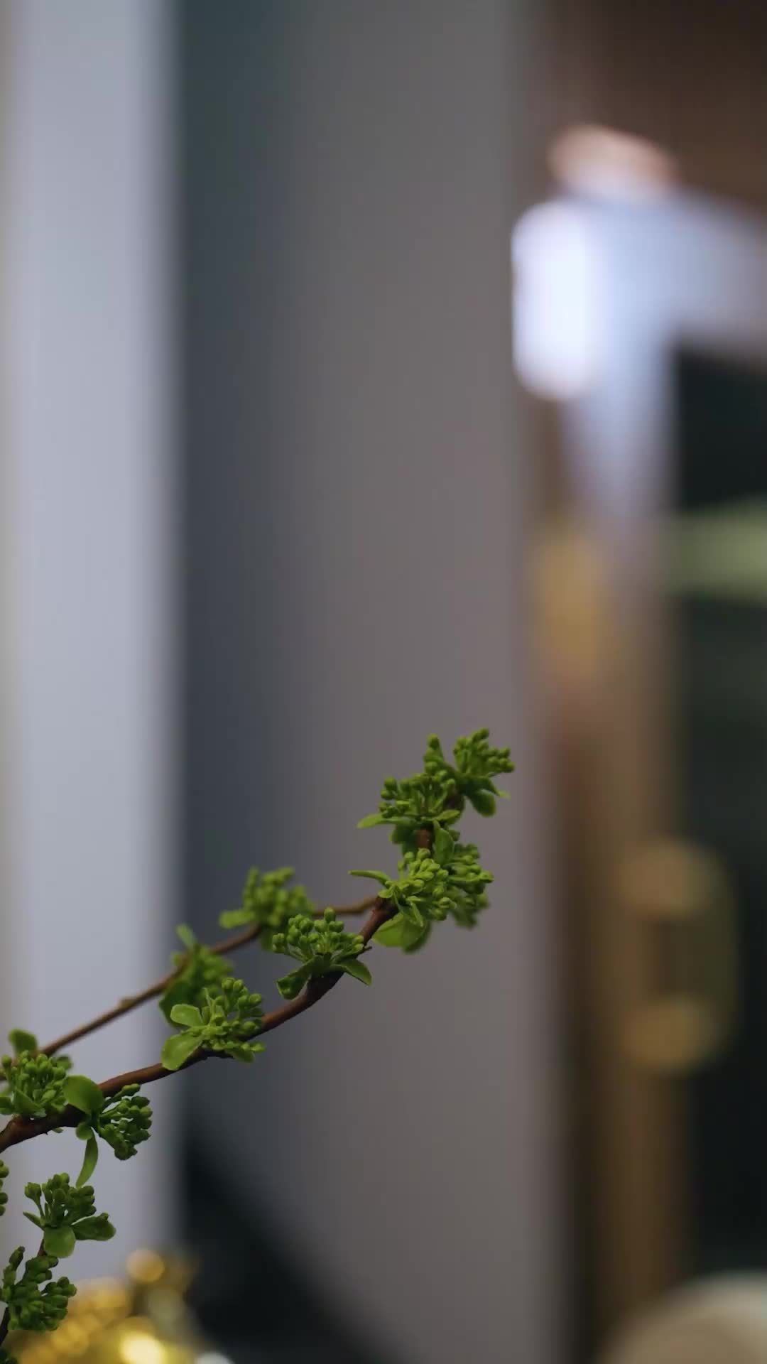 ตอนที่ 58