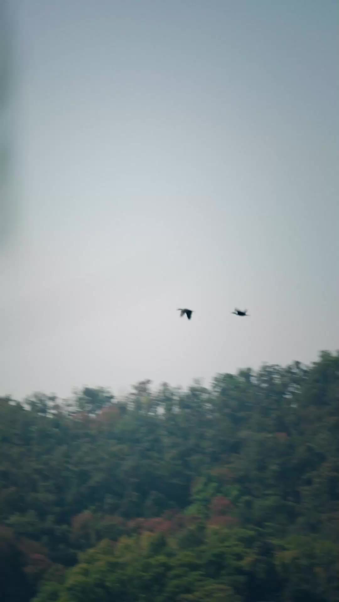 ตอนที่ 20