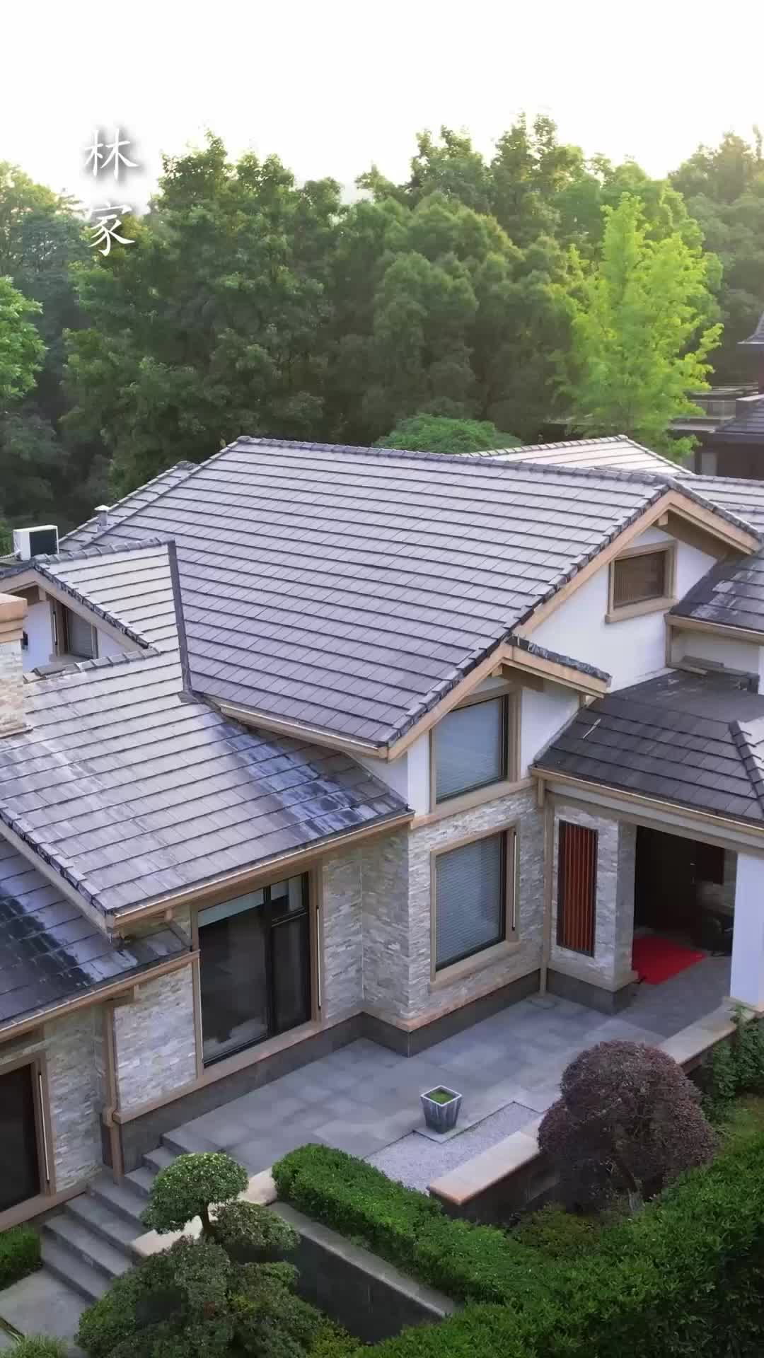 重生后,哥哥们哭着求原谅 EP.7