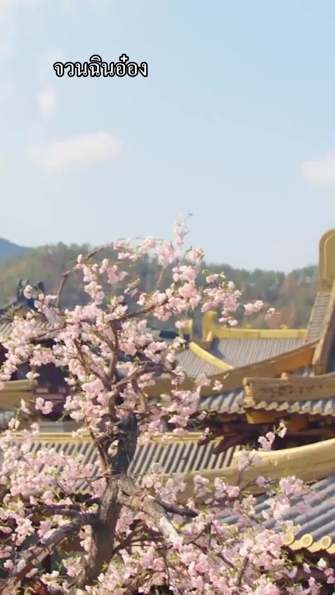 ตอนที่ 24