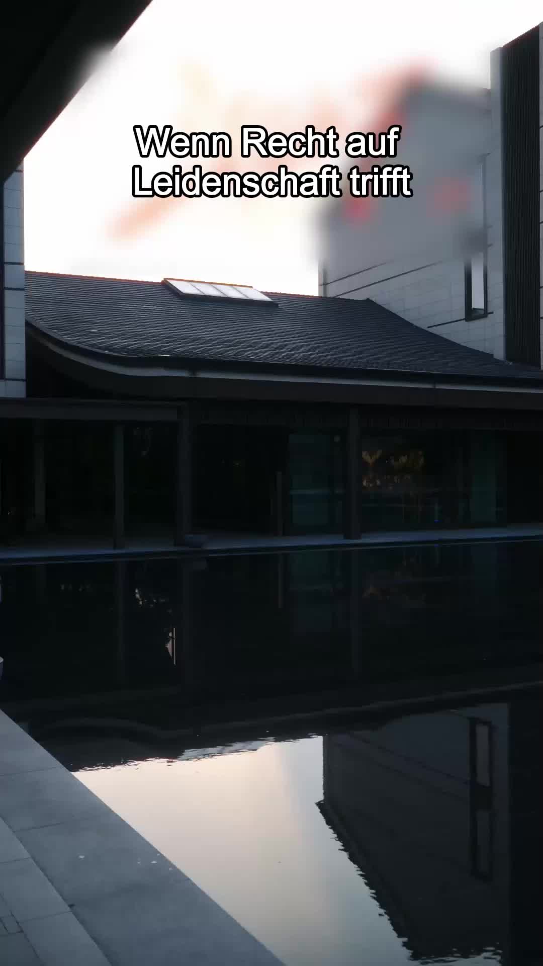 Wenn Recht auf Leidenschaft trifft EP.9