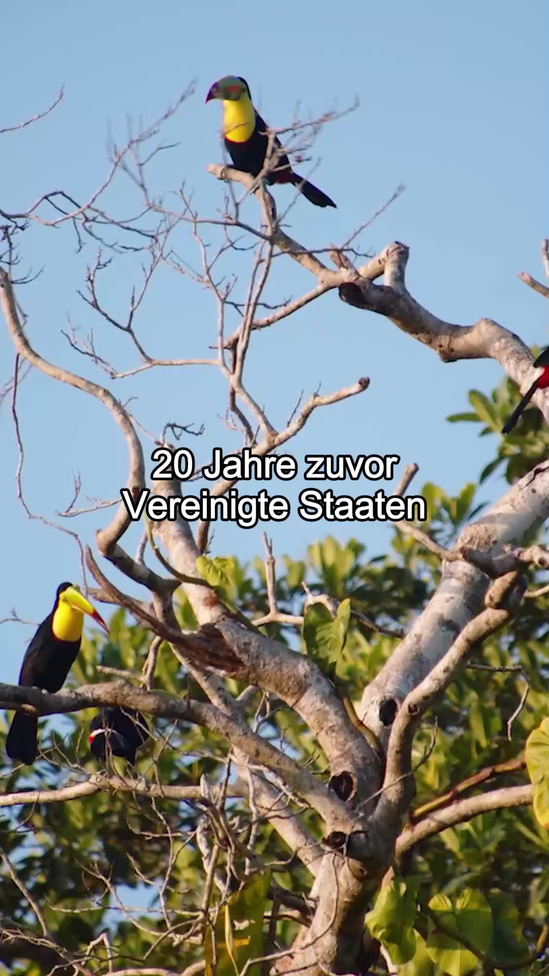 Vom verlorenen Erbin zur königlichen Hoheit EP.1