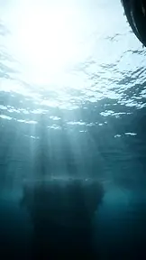 블랙 타이드에 갇힌 인어 공주 EP.1