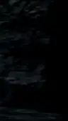 الحلقة 13