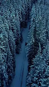 The Winter Veil EP.1