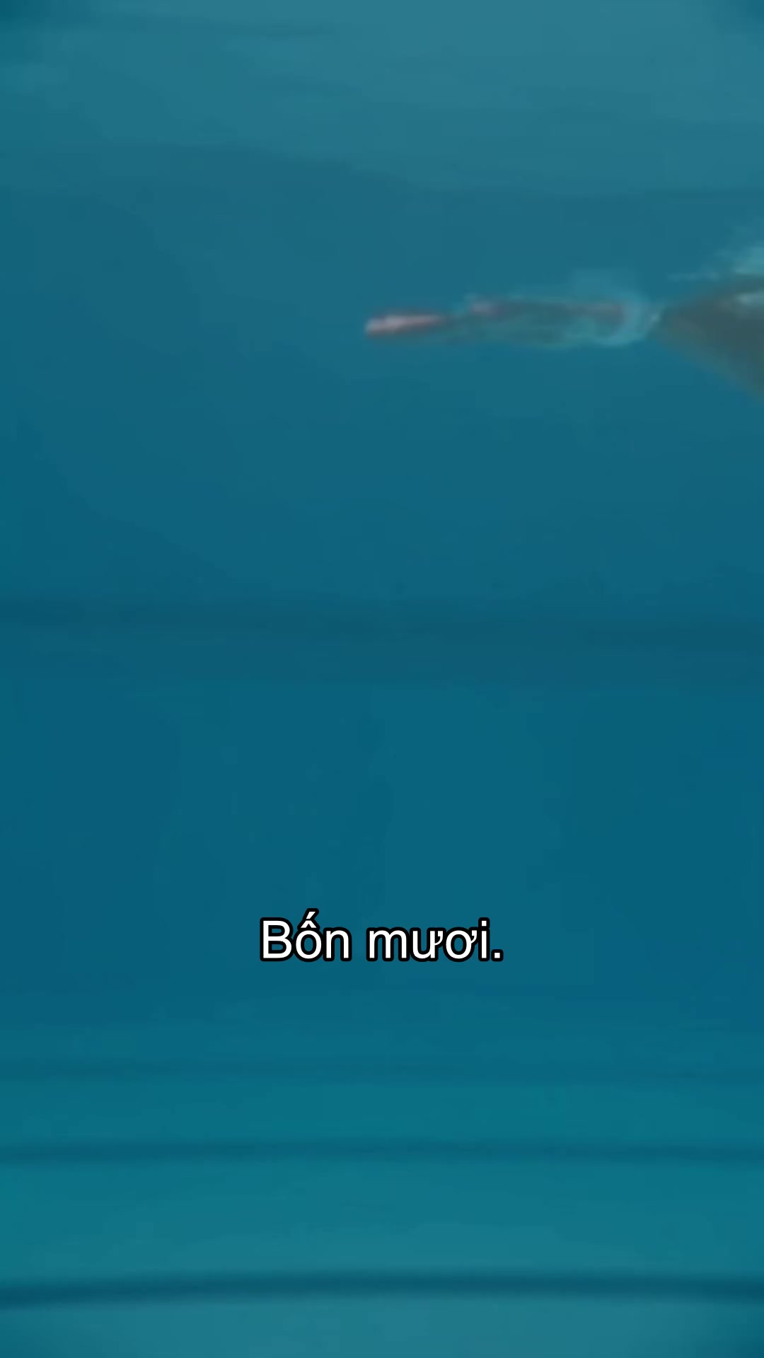 Tập 1
