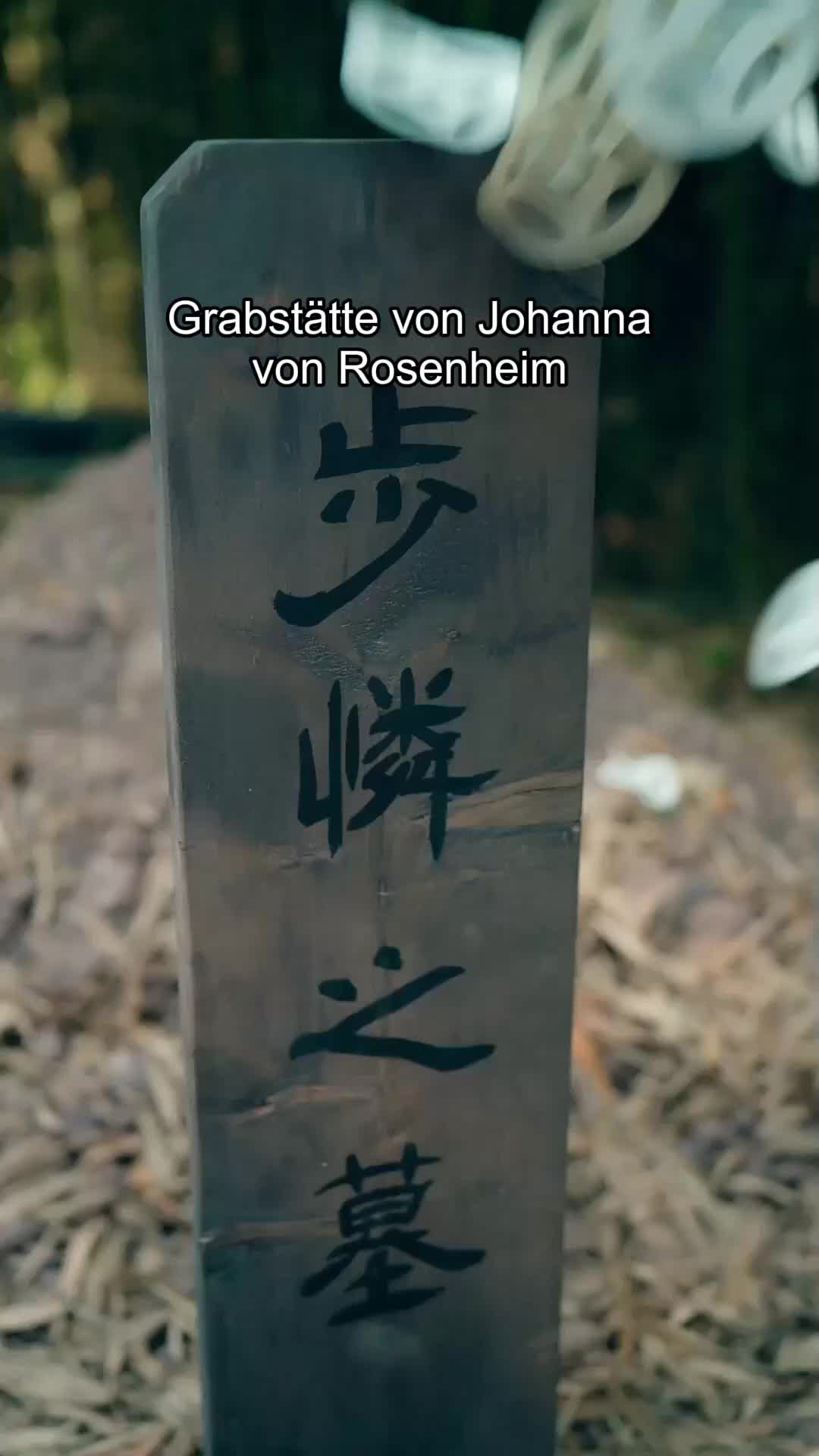 Folge 67