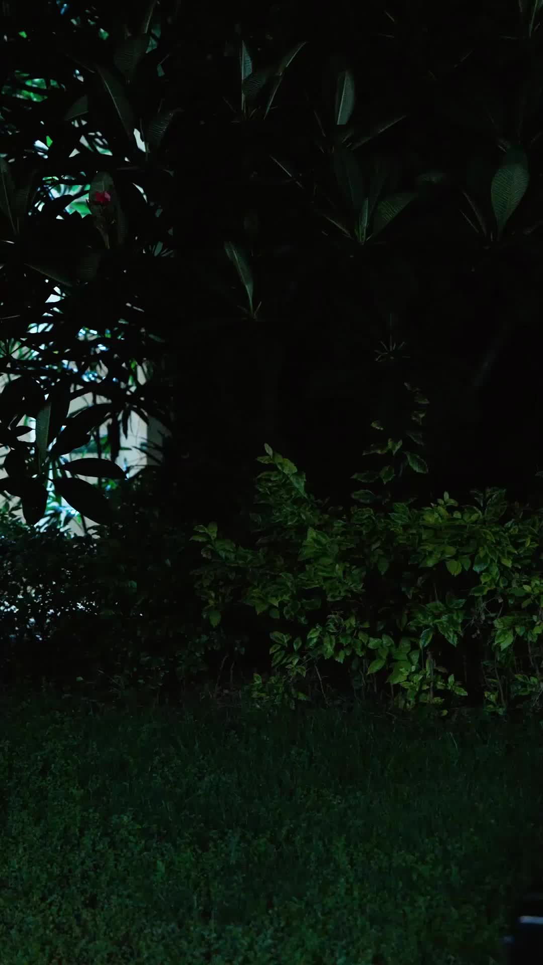 Swapped Brains, Swapped Lives EP.12