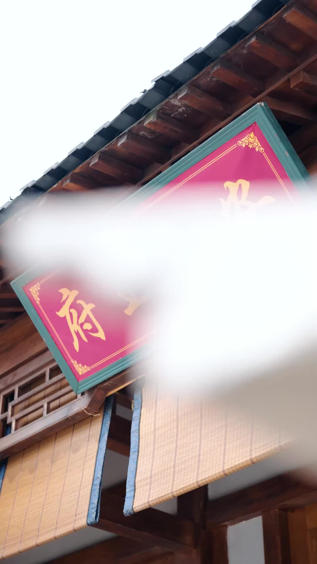 Episode 29