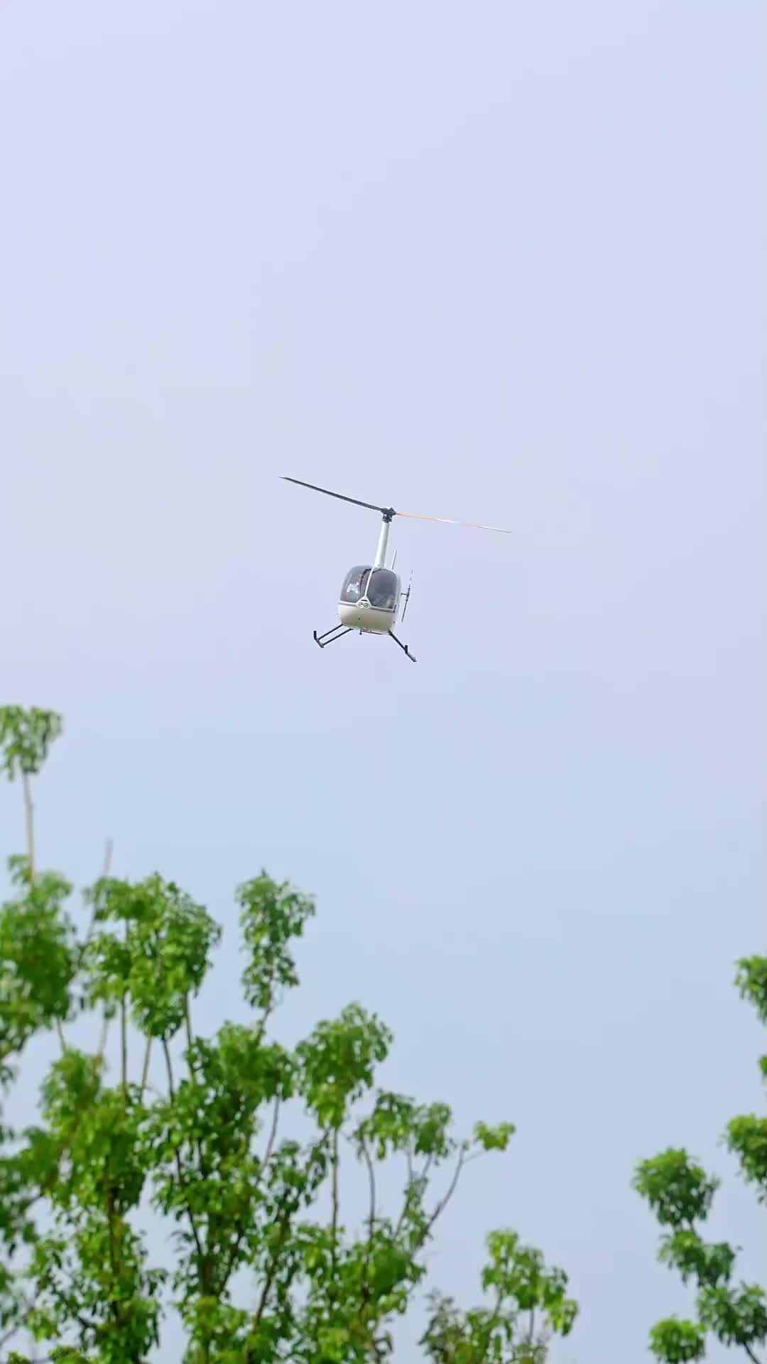 Istri Sewaan, Ratu yang Tersembunyi EP.1
