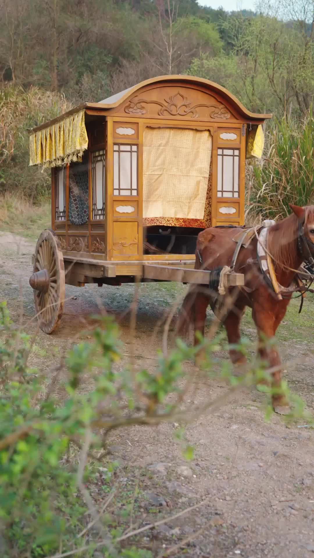 Aptal Prens, Demir Yumruk EP.12