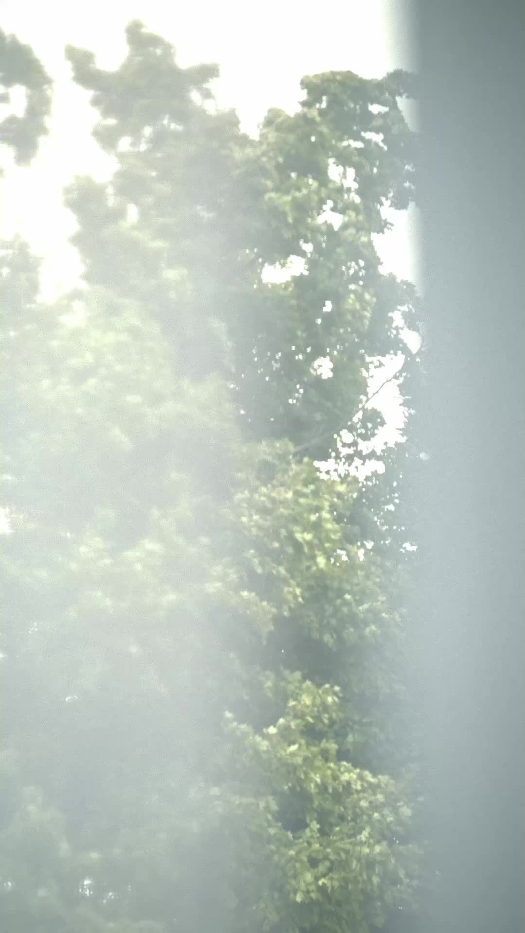 第40集