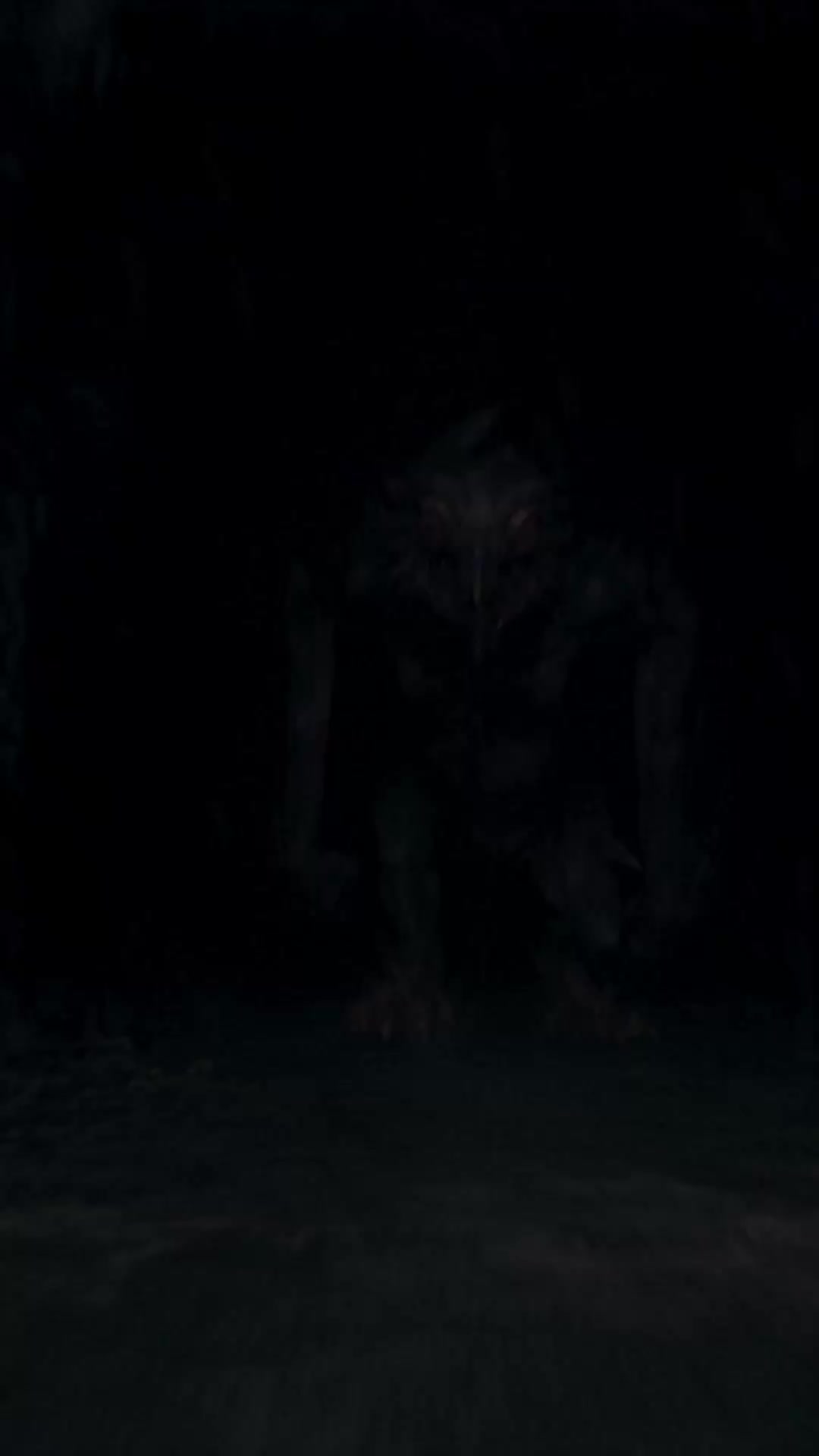 Episódio 15