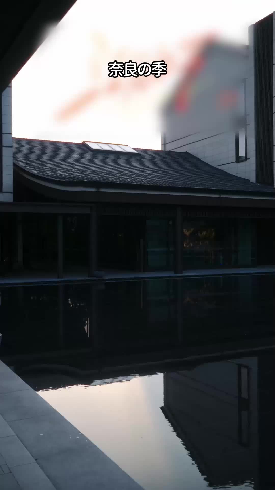 エース弁護士の青い憂鬱 EP.9