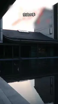 エース弁護士の青い憂鬱 EP.9