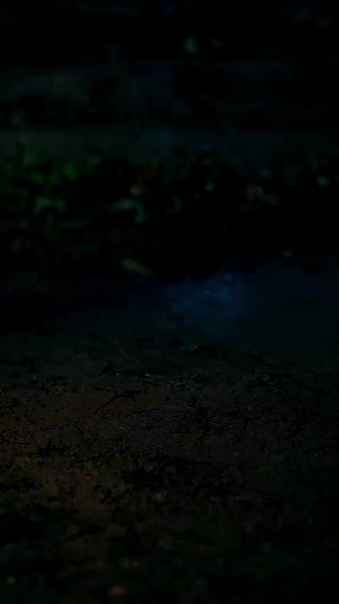 Episode 33