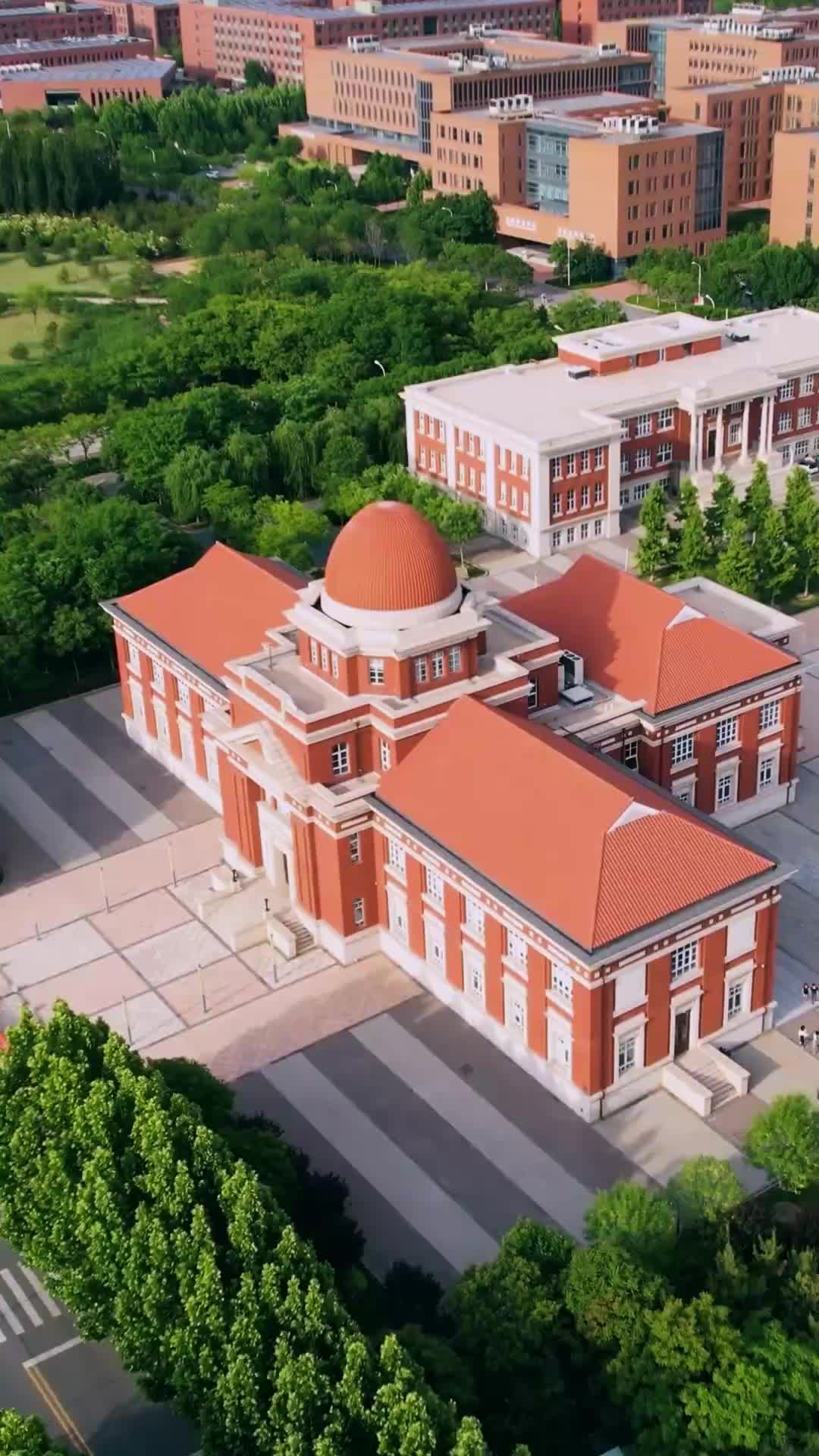 Naga S-Class yang Bangkit EP.13