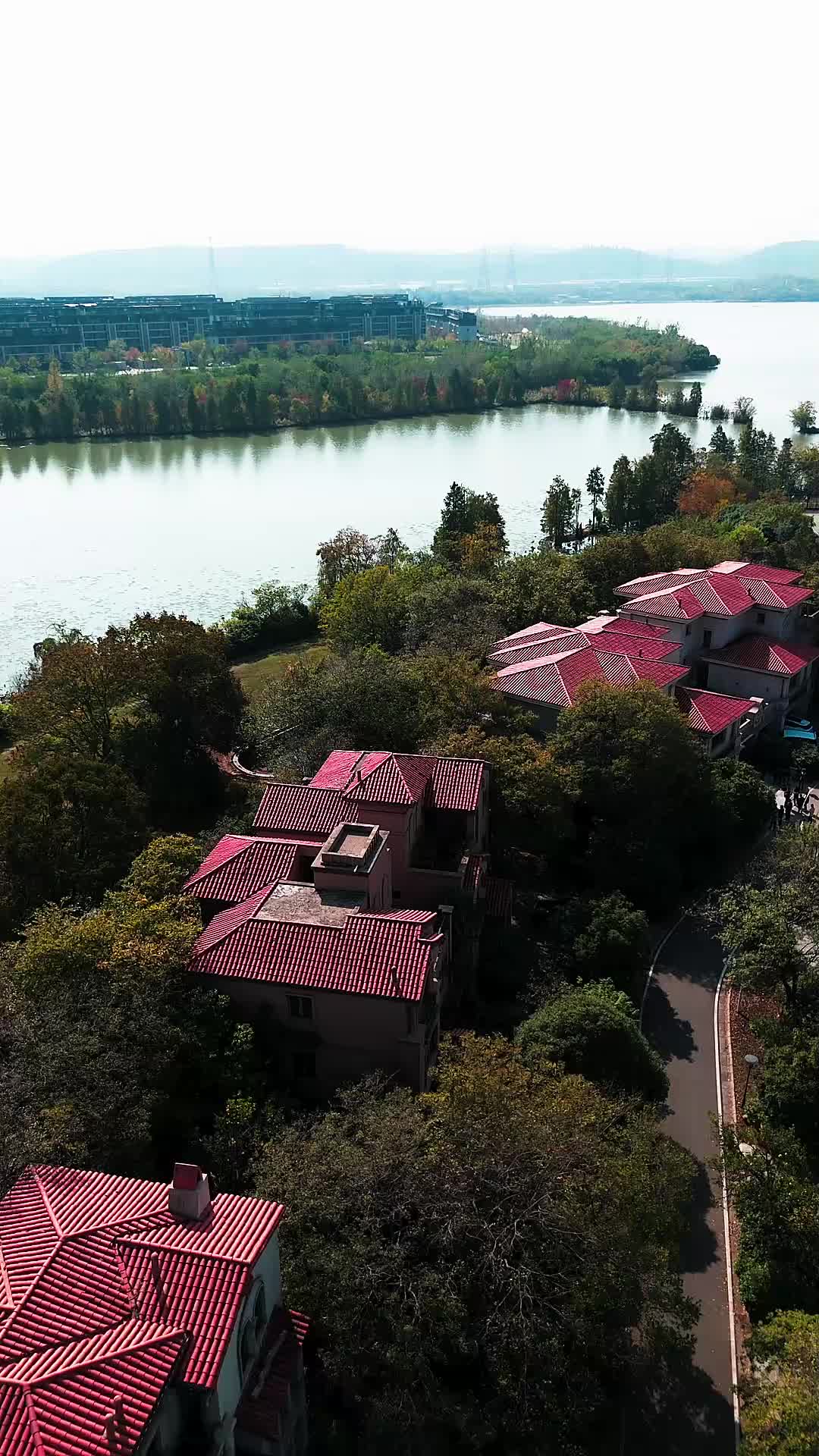 小さな星と大きな市場 EP.8