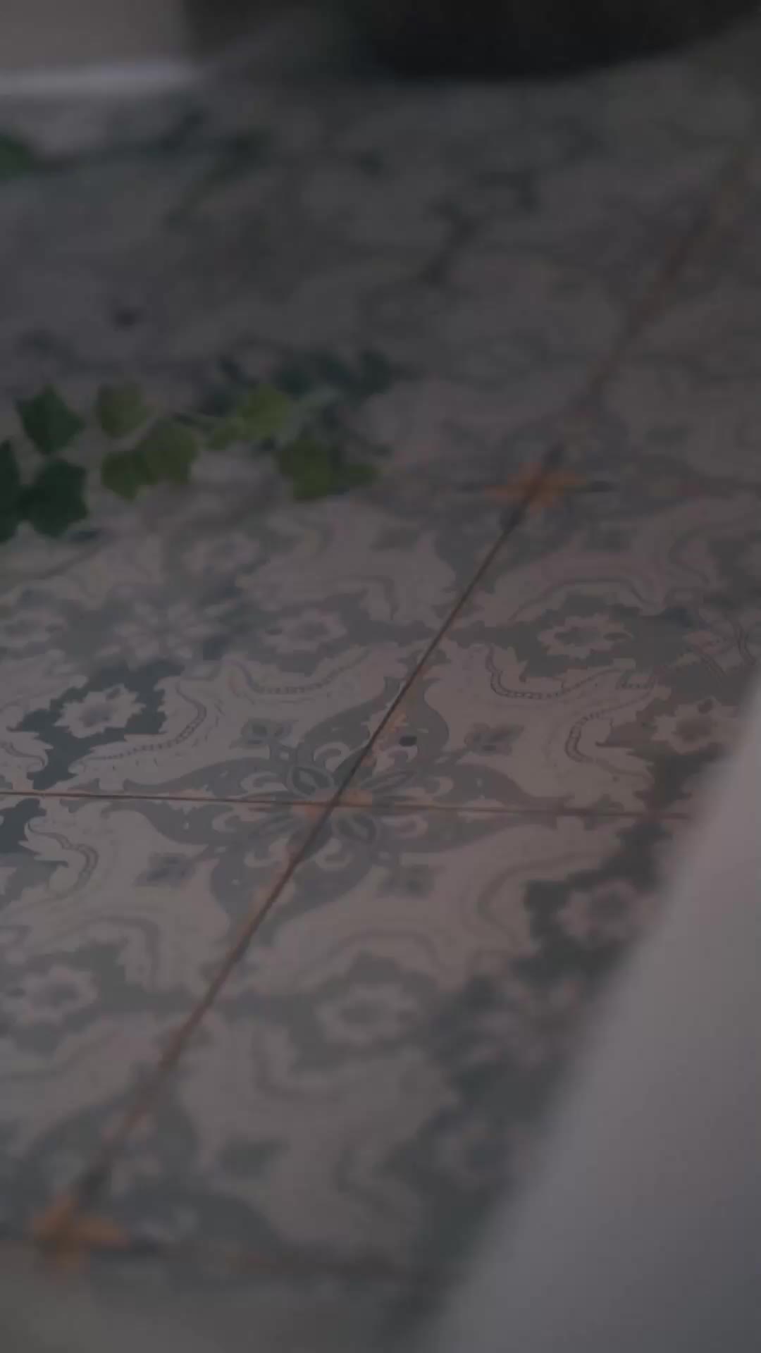 A Ring Before Reason EP.8