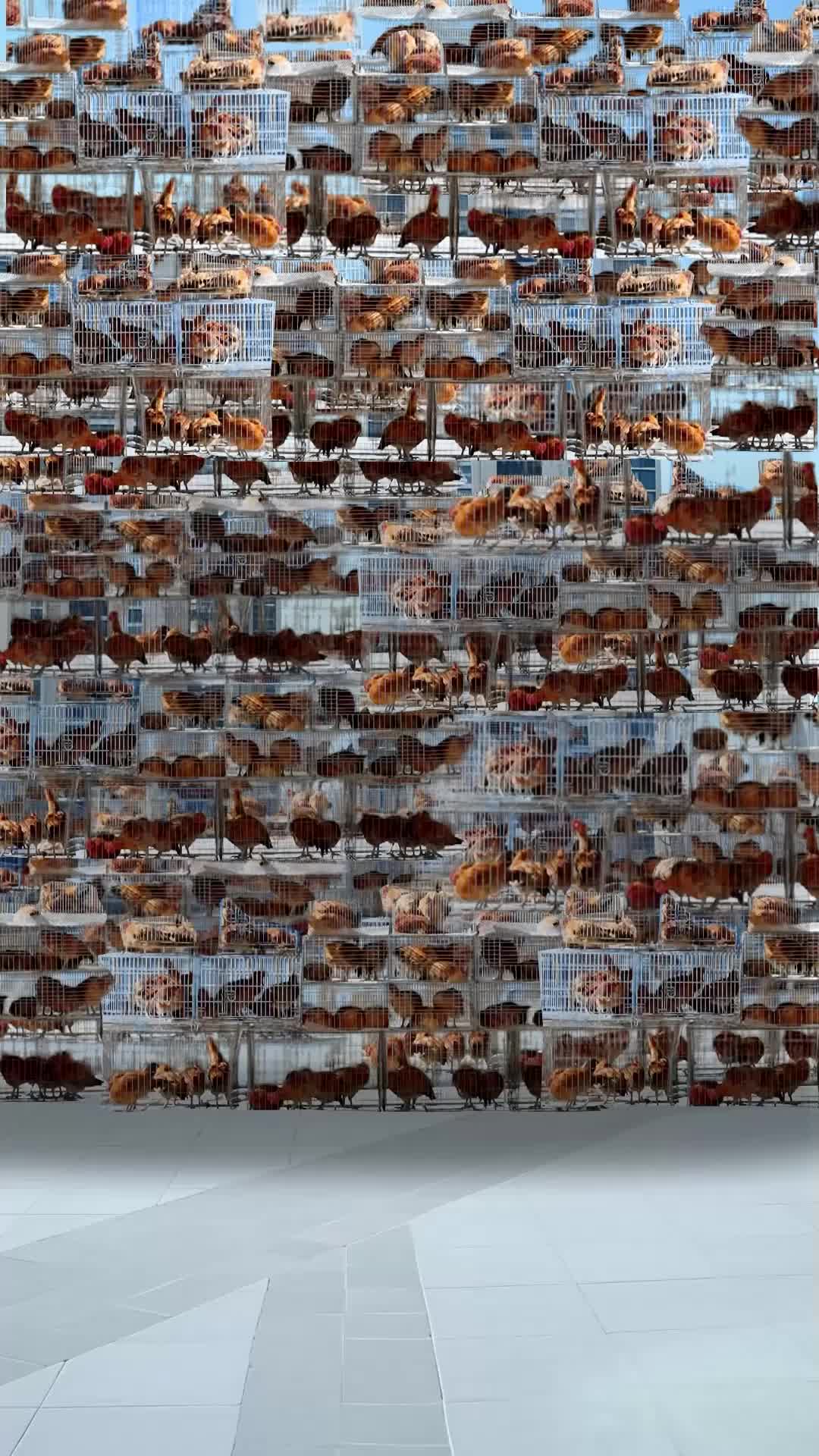 我的升级全靠踩蚂蚁 EP.8