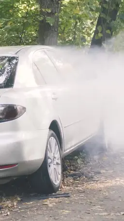 ตอนที่ 5